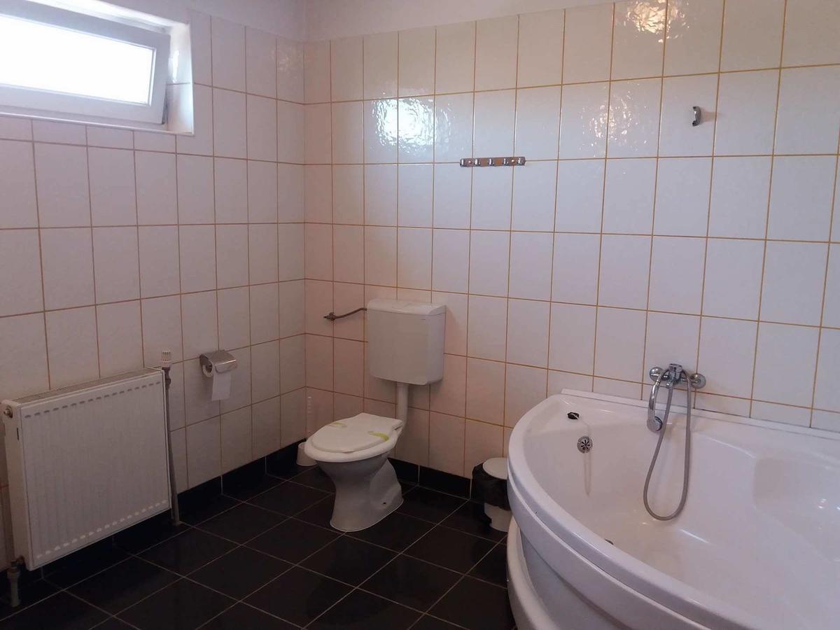Hotel Maier Hunedoara Eksteriør billede